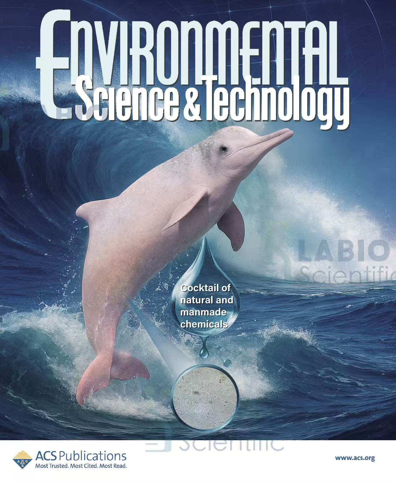 Liu et al. 2025 cover